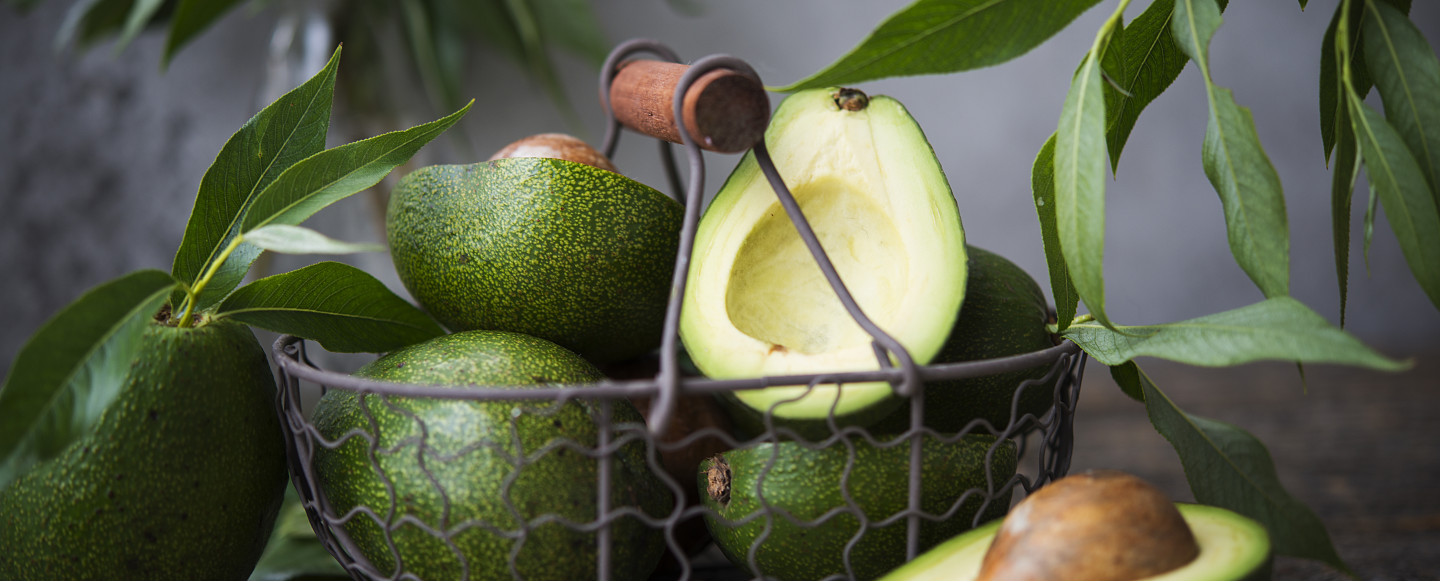 Bagaimana Olahraga Ringan Membantu Tubuh Mencerna Makanan dengan Lebih Baik